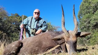 Incredible African Plains Game Hunt Experience the Wild Encounter [upl. by Etnovad658]