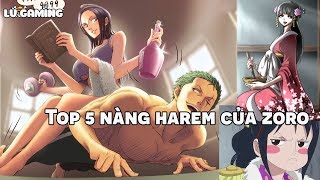 Top 5 Nàng Harem Của Zoro  Người đẹp xứng đáng với Zoro nhất 46 [upl. by Joann760]