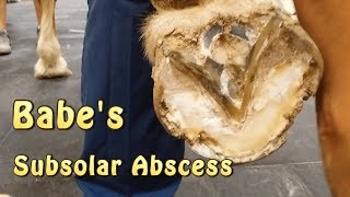 Babes Subsolar Abscess Part 1 [upl. by Karlie]