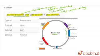 Extrachromosomal DNA used as vector in gene cloning is [upl. by Kcirdec]