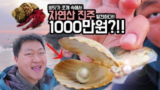 도깨비 바닷가 조개 속에서 quot진주quot 발견하다 1000만원ㅎㄷㄷ [upl. by Yeleak]