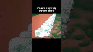 100 साल से भूखा भेड़ जब खाना खाता है 😂। Funny cartoon funny explanation memes [upl. by Dionysus]