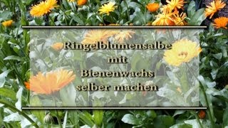 Ringelblumensalbe mit Bienenwachs selber machen [upl. by Atener]