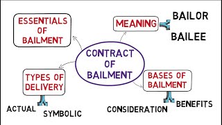 Contract of Bailment Law of Contracts common law system [upl. by Yluj298]