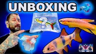 Unboxing the Unknown Fish Suprises and Unexpected Chaos [upl. by Moraj]