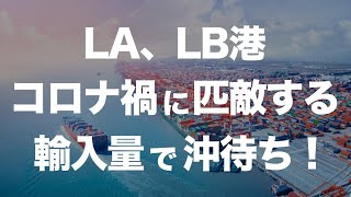 LA LB港、コロナ禍に匹敵する輸入量に直面！東海岸のストも影響 [upl. by Nuawaj557]