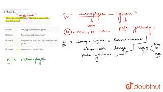 Chlorosis etiolation and albinism are caused by the deficieny of [upl. by Dupuy]