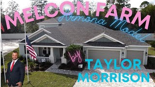 Model Home Walkthrough  Armona Model  Taylor Morrison  90 Lots  New Construction  Jacksonville [upl. by Basir308]