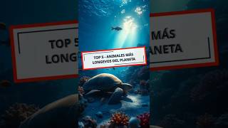 TOP 5  Animales más longevos de la tierra🦈🐢 top5 curiosidades datoscuriosos animales sabiasque [upl. by Haelahk]