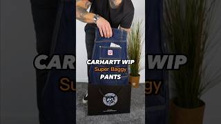 The BEST Carhart WIP Double Knee SPECIAL Pants 😮 Nash [upl. by Akcimahs]