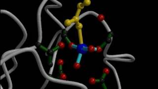 Integrin Nanomachine Rate My Science [upl. by Davie]