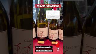 DEGUSTAZIONE ICONICA megliodibere wine borgogna degustazioni degustazione sommelier pommard [upl. by Eden511]