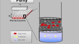 The PhyNexus Tip Concentrating Effect [upl. by Ylil989]