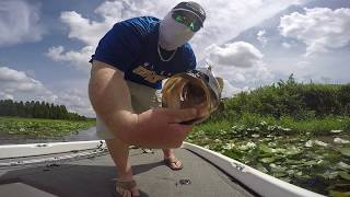 Slayin them at Thonotosassa again  18lb bag  Kid takes swim [upl. by Victorine]