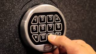 Change Combination on digital electronic LG Safe Lock [upl. by Gaddi930]