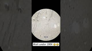 Hand cream magnified 400 times is so cool underthemicroscope microscope scienceshorts [upl. by Aninad205]