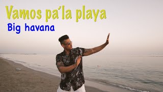 Big Havana  Vamos pà la playa Official Video [upl. by Rich]