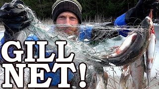 Testing Cheap Amazon Survival Gill Net Usually ILLEGAL  Rare Underwater Footage [upl. by Mayberry932]