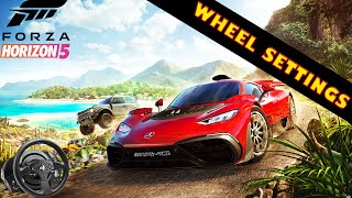 Forza Horizon 5 Wheel Settings FFB Setup [upl. by Ydoj]