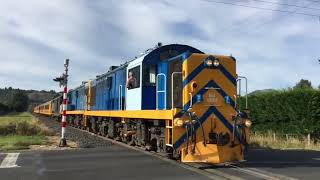 Dunedin Railways In March And April 2016 [upl. by Morse]