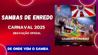 CD Sambas De Enredo Carnaval 2025  Gravação Oficial RJ  Grupo Especial [upl. by Jane]