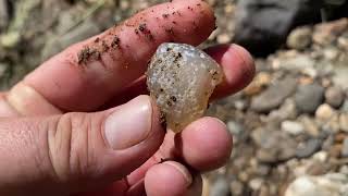 Agate Chalcedony amp Jasper  What’s the Difference [upl. by Lieberman]