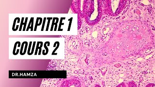 Histologie  Chapitre 1 P2  Dr Hamza [upl. by Diao542]