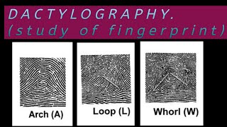 Dactylography forensic medicine Easy WayDefinationTypepatternIdentificationPART2 [upl. by Israeli]