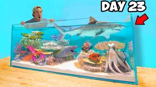 30 Days Completing My Dream Saltwater Reef Pond [upl. by Cigam]