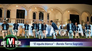 Banda Tierra Sagrada  El águila blanca Corridos Unplugged [upl. by Modnar]