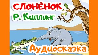 СЛОНЁНОК  Редъярд Киплинг  Аудиосказки для детей  Внеклассное чтение 1 класс [upl. by March950]