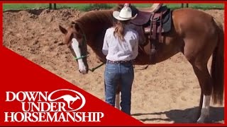 Clinton Anderson More Horse Than Handle Part 2  Downunder Horsemanship [upl. by Barbaresi]