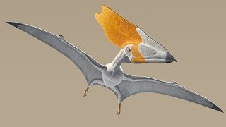 Fly Like a Pterosaur in KinectPowered Simulator [upl. by Ahsaeyt]