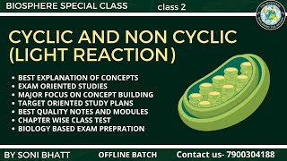 CYCLIC AND NON CYCLIC PHOTO RESPIRATION  LIGHT REACTION PLANT PHYSIOLOGY biology neet class11 [upl. by Adok730]