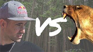 MAN vs LION  BEST EXPERIENCE EVER [upl. by Annaihr]