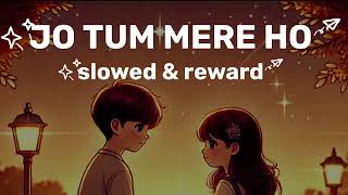 Puche Yeh Tu Ki Tujhmein Main Kya Dekhta Hoon  Slow amp Reverb Version  Romantic Song [upl. by Orvah]