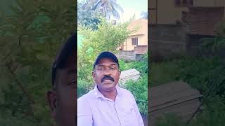 Chinna gounder vijayakanth song [upl. by Delanos758]