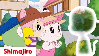 Where is Shimajiro 👀  Family  24 Minute Compilation  Kids video for Kids  Shimajiro [upl. by Onirotciv]