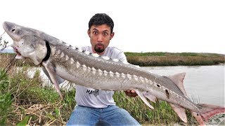 Once in a LIFETIME Catch and Cook White Sturgeon [upl. by Kirenoj]