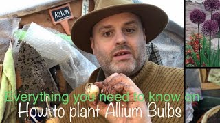 Everything you need to know on how to plant Allium bulbs in pots borders and beds gardening [upl. by Renaxela]