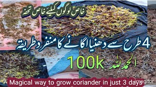 Magical Way to Grow Coriander in just 3 daysEasiest method to grow coriander at home in April month [upl. by Abra280]