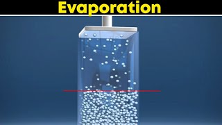 Evaporation ⚡3d animation  Class 9 Chemistry [upl. by Corvese]