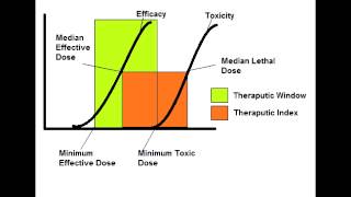 Therapeutic Index amp Therapeutic Window [upl. by Nerrak]