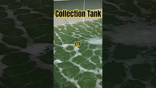 etp collection tank aeration Effulent Treatment Plant short [upl. by Chambers]