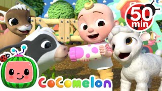 Old MacDonald Song  Baby Animals  More Nursery Rhymes amp Kids Songs  CoComelon [upl. by Sundin997]