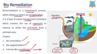 What is Bioremediation   Bioremediation అంటే ఏమిటి  La Excellence [upl. by Alasteir]