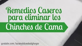 Remedios caseros para eliminar chinches de cama [upl. by Ephram516]