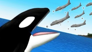 KILLER WHALE vs FIGHTER JETS  Tasty Planet Forever  Pungence [upl. by Bertilla6]