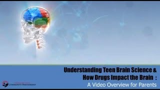 Understanding Teen Brain Science amp How Drugs Impact the Brain [upl. by Wilona]