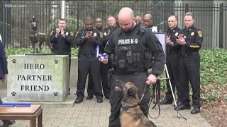 Police dog shot in face returns to work [upl. by Devan]